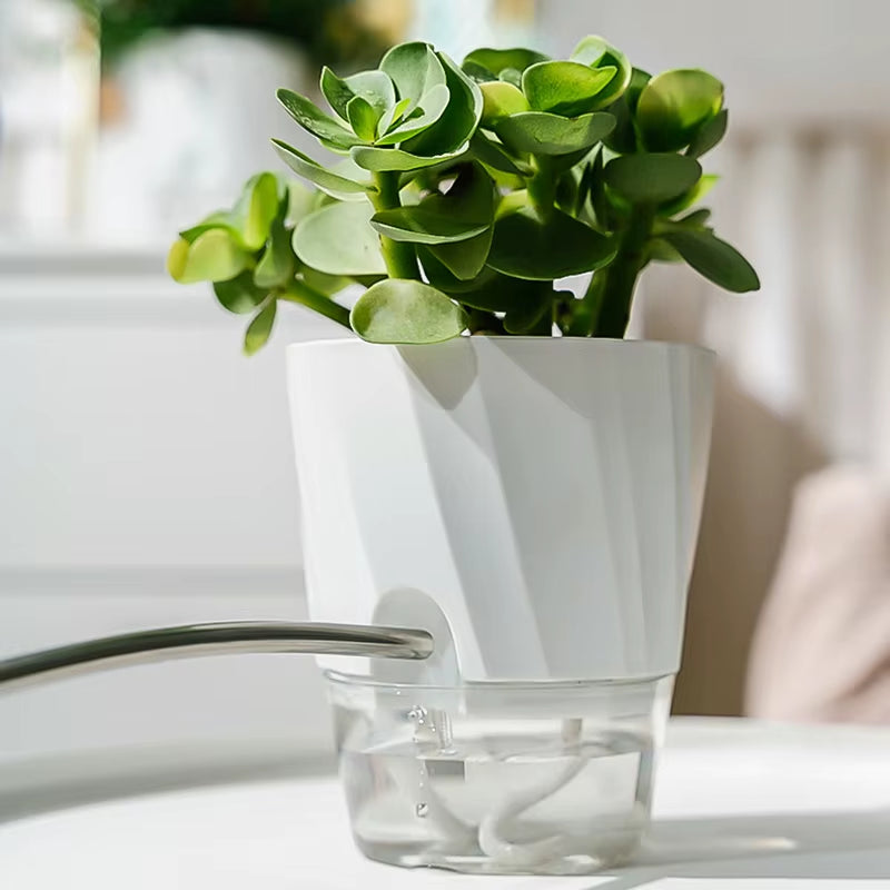 Automatic Self-Watering Hydroponic Flower Pot with Transparent Double Layer Design for Office Use