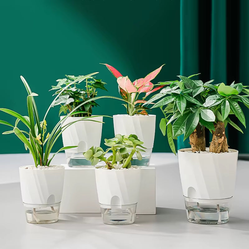 Automatic Self-Watering Hydroponic Flower Pot with Transparent Double Layer Design for Office Use