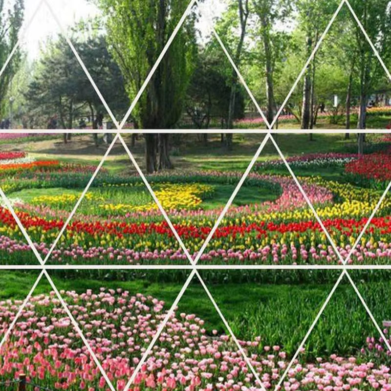 Pond Plant Soil Nutrition Clay Soil for Lotus Plant Plant Growing Media for Water Lilies Lotus Gardening Supplies